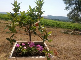 La Sosta Di Braccio