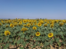 La Sosta Di Braccio