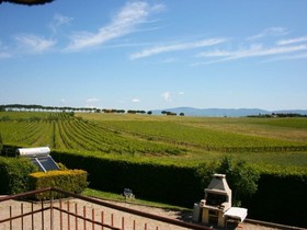 Villa Il Cedro