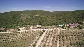 Tenuta Di Forte Sorgnano