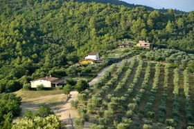 Tenuta Di Forte Sorgnano