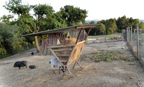 Tenuta Di Forte Sorgnano