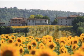 Agriturismo Podere Casenove