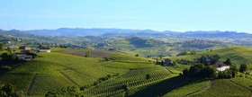 Il Felcino