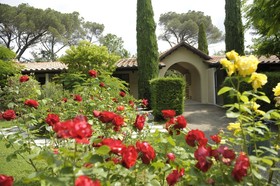 Abbazia Collemedio Resort & Spa