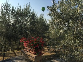 Casa Vacanze Ripa Alta