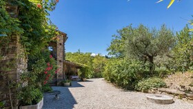 Contessa Matilde 16