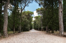 Bluebay Colle della Trinità Perugia