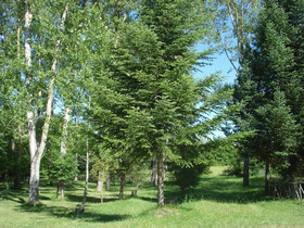 Camping Villaggio Rio Verde