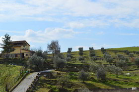 Resort Umbria SPA