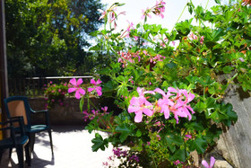 B&B Le Maraschine