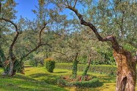 Casa Degli Oleandri 8 by Emma Villas
