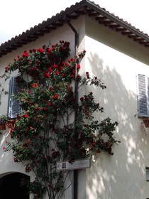 Casa Zia Cianetta