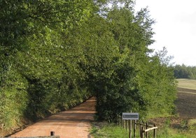 Azienda Agraria Montelujano