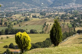 Azienda Agraria Montelujano