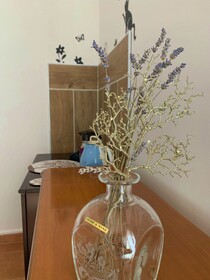 Butteflies Rest