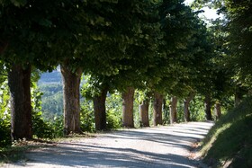 Castello di Baccaresca