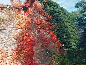Castello di Baccaresca