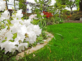 Dimora Morelli B&B