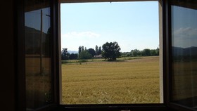 Fontecese