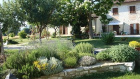 Fontecese