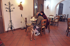 Hotel San Marco