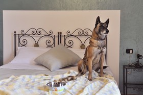 Hotel San Marco