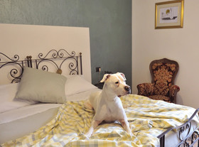 Hotel San Marco