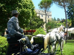 Hotel Torre Dei Calzolari Palace