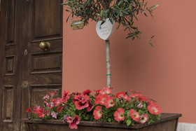 B&B L'Emporio