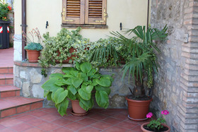 Borgo San Savino