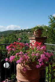 Borgo San Savino