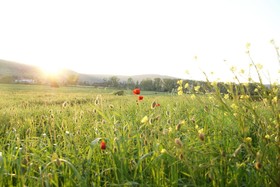 La Casa Di Campagna