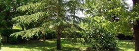 Orsini Agriturismo