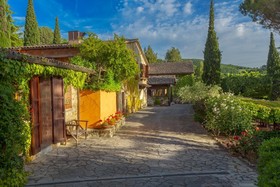 Fattoria di Vibio