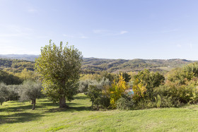 Podere le Corone