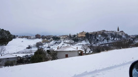 La Collina Del Girasole