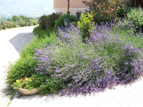 B&B La Collina Del Sagrantino