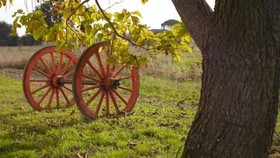 Bed and Breakfast Villa Ceccarini Fonte D'Oro