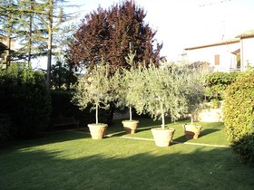 Palazzo Bontadosi Hotel & Spa