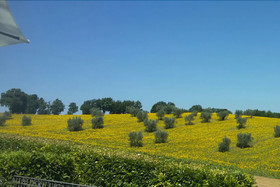 Agriturismo La Contea by Bice