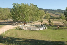 Podere Calledro