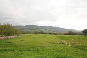 Podere Calledro