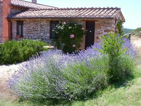 Podere Costa Romana