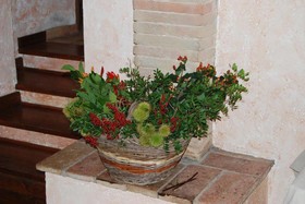 Podere Costa Romana