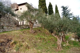 Domus Ecclesiae