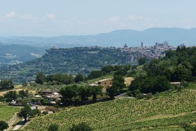 Altarocca Wine Resort