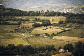 Altarocca Wine Resort