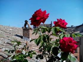 Orvieto in Terrazza