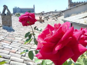 Orvieto in Terrazza